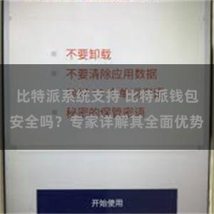 比特派系统支持 比特派钱包安全吗？专家详解其全面优势