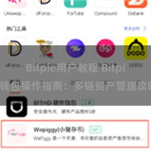 Bitpie用户教程 Bitpie钱包操作指南：多链资产管理攻略