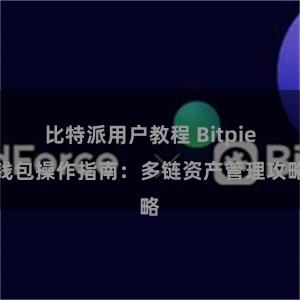 比特派用户教程 Bitpie钱包操作指南：多链资产管理攻略