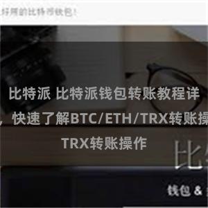 比特派 比特派钱包转账教程详解，快速了解BTC/ETH/TRX转账操作