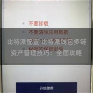 比特派配置 比特派钱包多链资产管理技巧：全面攻略