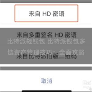 比特派轻钱包 比特派钱包多链资产管理技巧：全面攻略