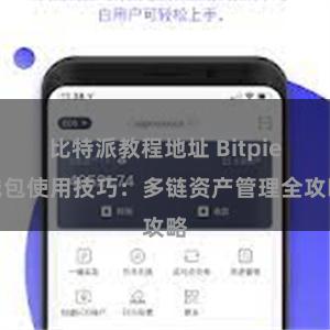 比特派教程地址 Bitpie钱包使用技巧：多链资产管理全攻略