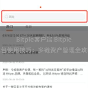 Bitpie客户端 Bitpie钱包使用技巧：多链资产管理全攻略