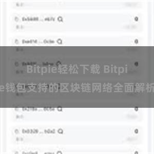 Bitpie轻松下载 Bitpie钱包支持的区块链网络全面解析