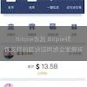 Bitpie恢复 Bitpie钱包支持的区块链网络全面解析