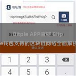 Bitpie APP直链 Bitpie钱包支持的区块链网络全面解析