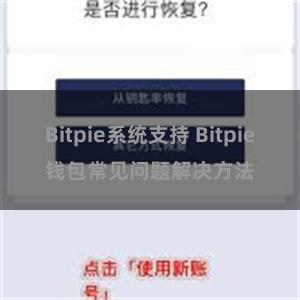 Bitpie系统支持 Bitpie钱包常见问题解决方法