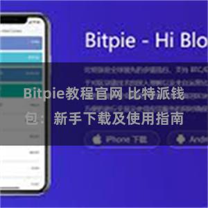 Bitpie教程官网 比特派钱包：新手下载及使用指南