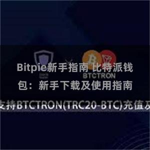 Bitpie新手指南 比特派钱包：新手下载及使用指南