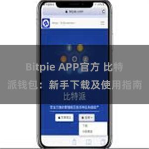 Bitpie APP官方 比特派钱包：新手下载及使用指南