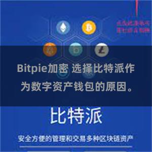 Bitpie加密 选择比特派作为数字资产钱包的原因。