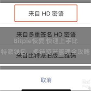 Bitpie恢复 快速上手比特派钱包，多链资产管理全攻略