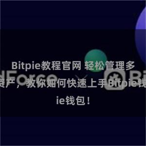 Bitpie教程官网 轻松管理多链资产，教你如何快速上手Bitpie钱包！