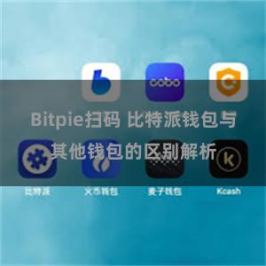 Bitpie扫码 比特派钱包与其他钱包的区别解析