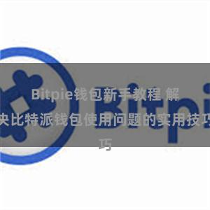 Bitpie钱包新手教程 解决比特派钱包使用问题的实用技巧