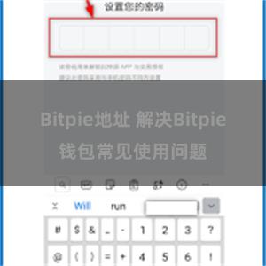 Bitpie地址 解决Bitpie钱包常见使用问题