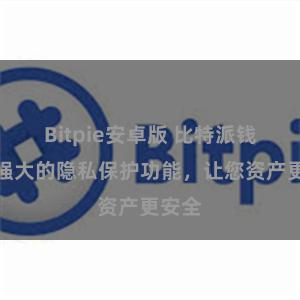 Bitpie安卓版 比特派钱包：强大的隐私保护功能，让您资产更安全