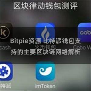 Bitpie资源 比特派钱包支持的主要区块链网络解析