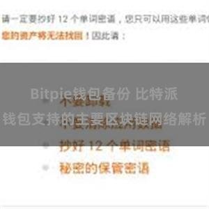 Bitpie钱包备份 比特派钱包支持的主要区块链网络解析