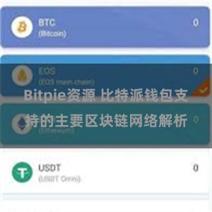 Bitpie资源 比特派钱包支持的主要区块链网络解析