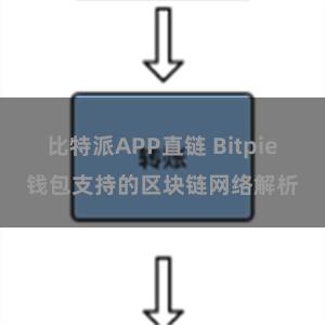 比特派APP直链 Bitpie钱包支持的区块链网络解析