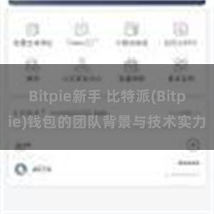 Bitpie新手 比特派(Bitpie)钱包的团队背景与技术实力