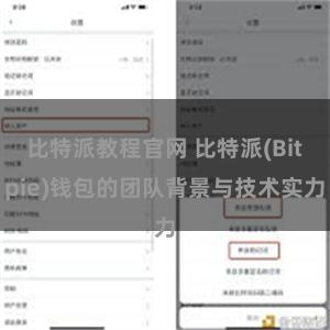 比特派教程官网 比特派(Bitpie)钱包的团队背景与技术实力