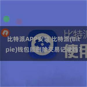 比特派APP安装 比特派(Bitpie)钱包能删除交易记录吗？