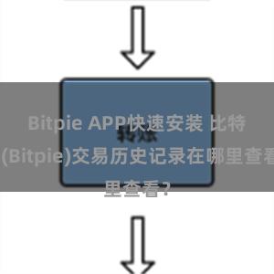 Bitpie APP快速安装 比特派(Bitpie)交易历史记录在哪里查看？