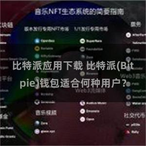 比特派应用下载 比特派(Bitpie)钱包适合何种用户？